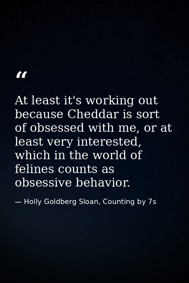 At least it's working out because Cheddar is sort of obsessed with me, or at least very interested, which in the world o — Holly Goldberg Sloan, Counting by 7s