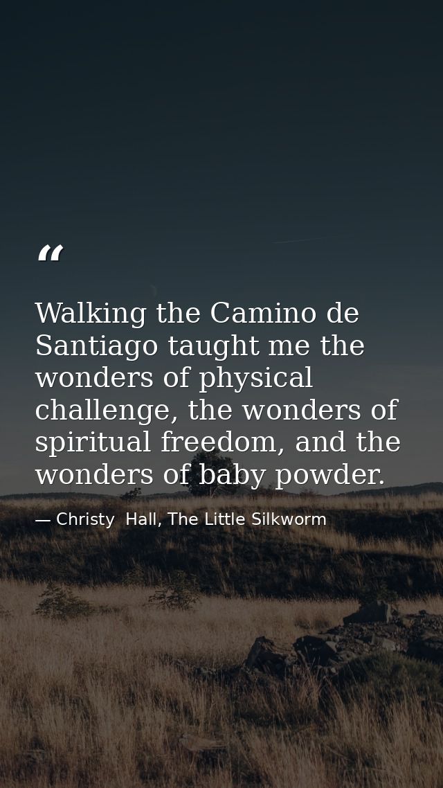 Walking the Camino de Santiago taught me the wonders of physical challenge, the wonders of spiritual freedom, and the wo — Christy  Hall, The Little Silkworm