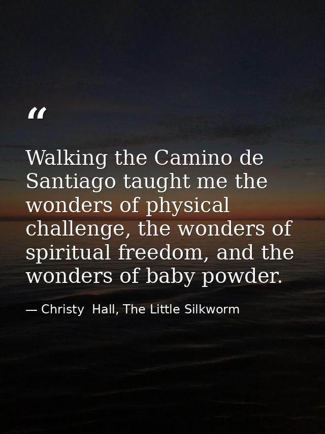 Walking the Camino de Santiago taught me the wonders of physical challenge, the wonders of spiritual freedom, and the wo — Christy  Hall, The Little Silkworm