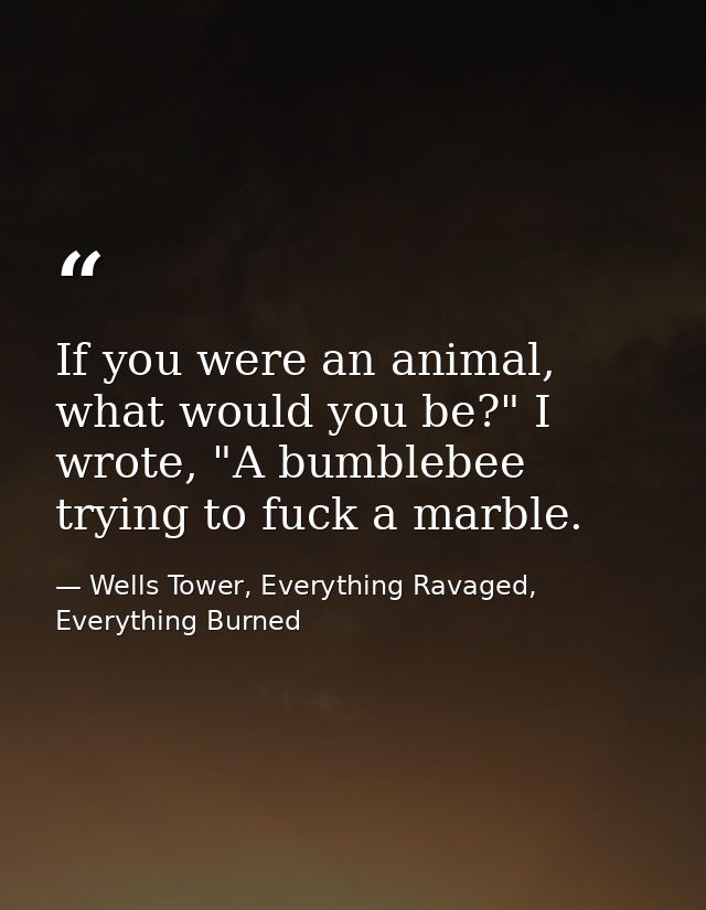 If you were an animal, what would you be?" I wrote, "A bumblebee trying to fuck a marble. — Wells Tower, Everything Ravaged, Everything Burned