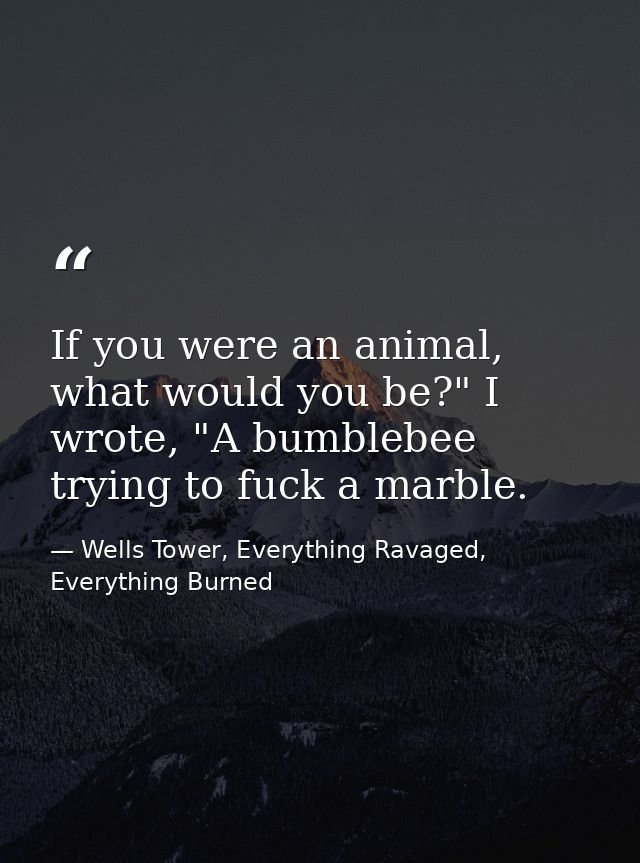 If you were an animal, what would you be?" I wrote, "A bumblebee trying to fuck a marble. — Wells Tower, Everything Ravaged, Everything Burned