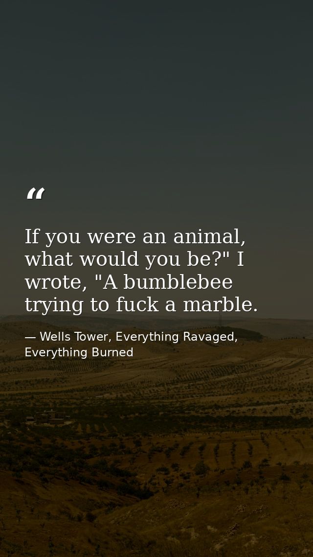 If you were an animal, what would you be?" I wrote, "A bumblebee trying to fuck a marble. — Wells Tower, Everything Ravaged, Everything Burned
