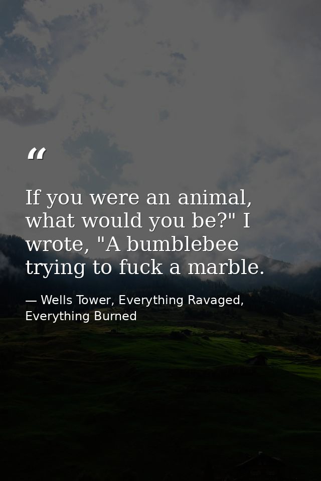 If you were an animal, what would you be?" I wrote, "A bumblebee trying to fuck a marble. — Wells Tower, Everything Ravaged, Everything Burned