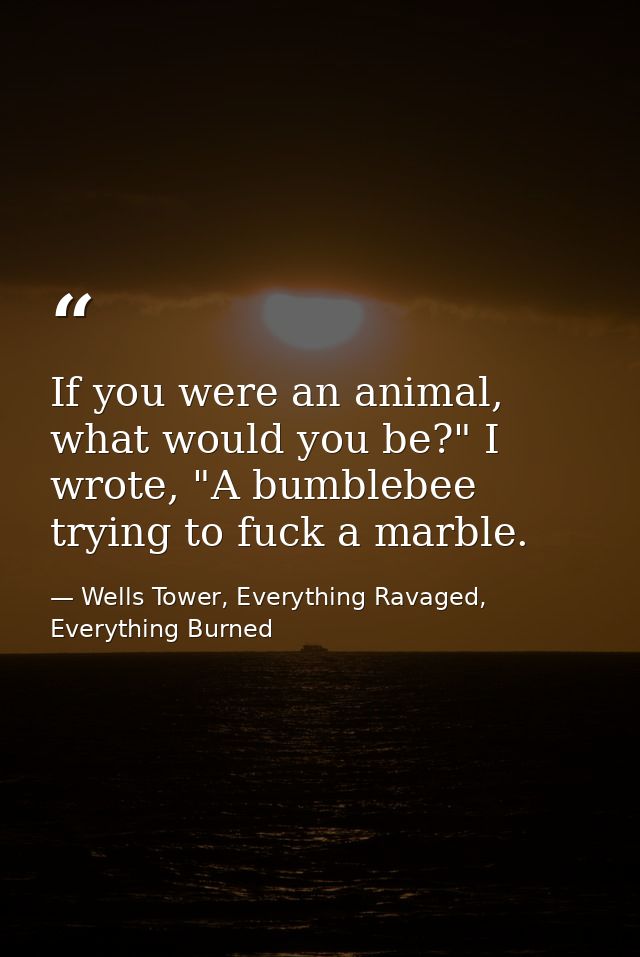 If you were an animal, what would you be?" I wrote, "A bumblebee trying to fuck a marble. — Wells Tower, Everything Ravaged, Everything Burned