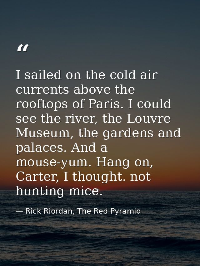 I sailed on the cold air currents above the rooftops of Paris. I could see the river, the Louvre Museum, the gardens and — Rick Riordan, The Red Pyramid