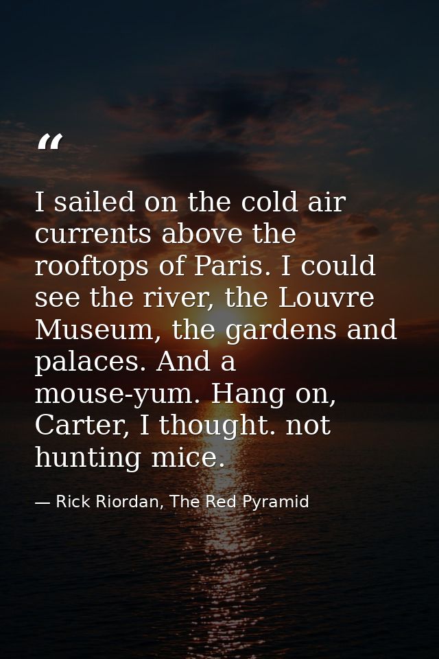 I sailed on the cold air currents above the rooftops of Paris. I could see the river, the Louvre Museum, the gardens and — Rick Riordan, The Red Pyramid