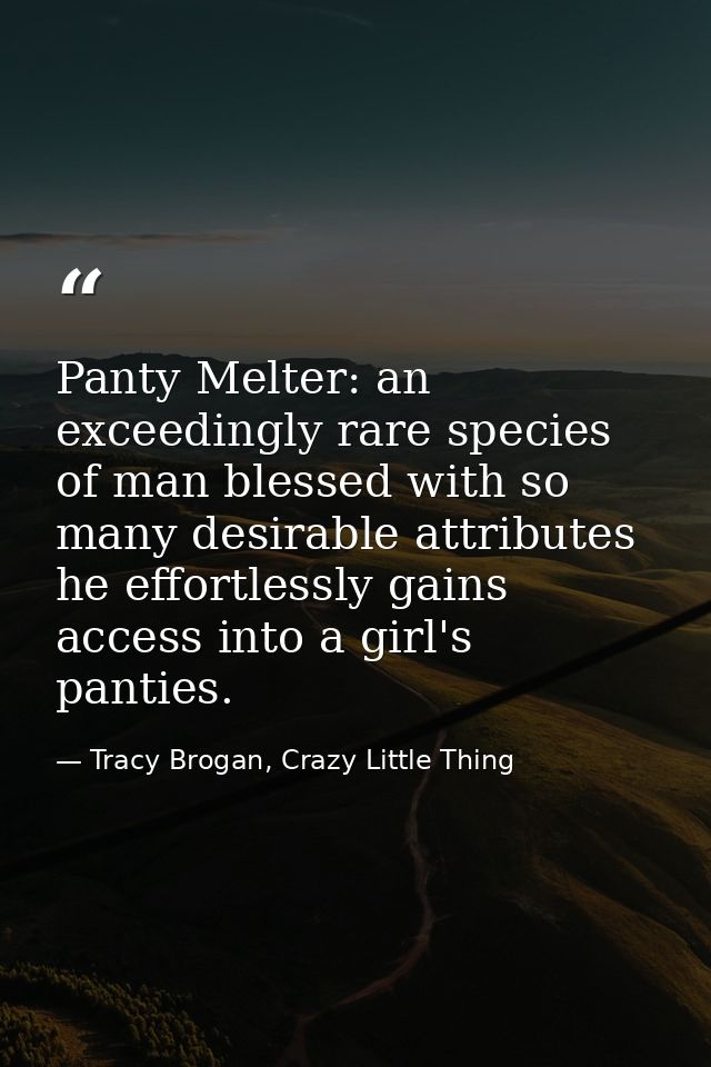 Panty Melter: an exceedingly rare species of man blessed with so many desirable attributes he effortlessly gains access  — Tracy Brogan, Crazy Little Thing