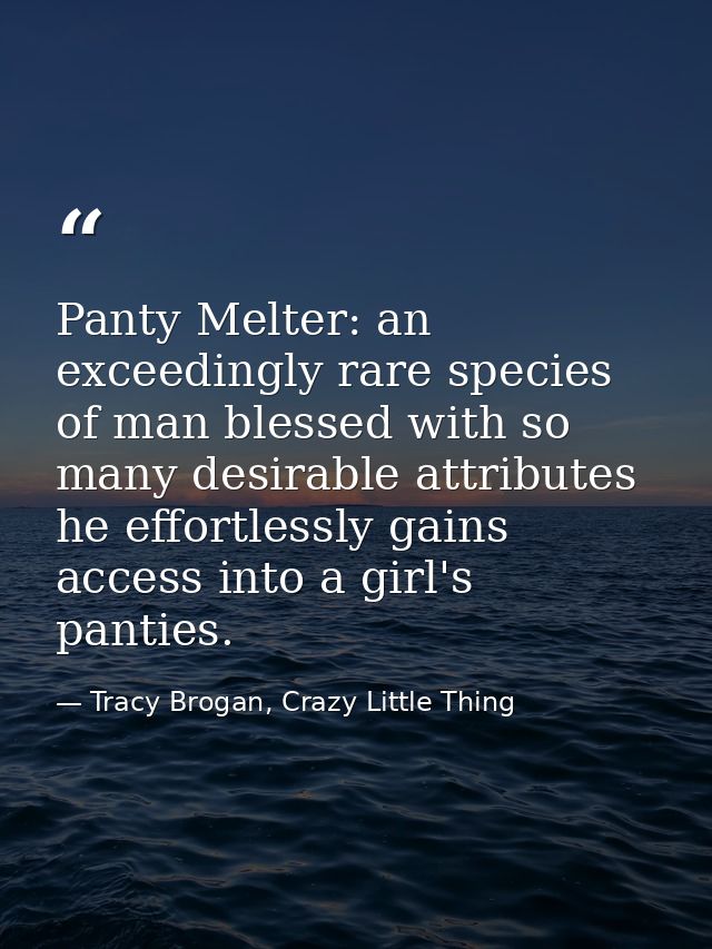 Panty Melter: an exceedingly rare species of man blessed with so many desirable attributes he effortlessly gains access  — Tracy Brogan, Crazy Little Thing