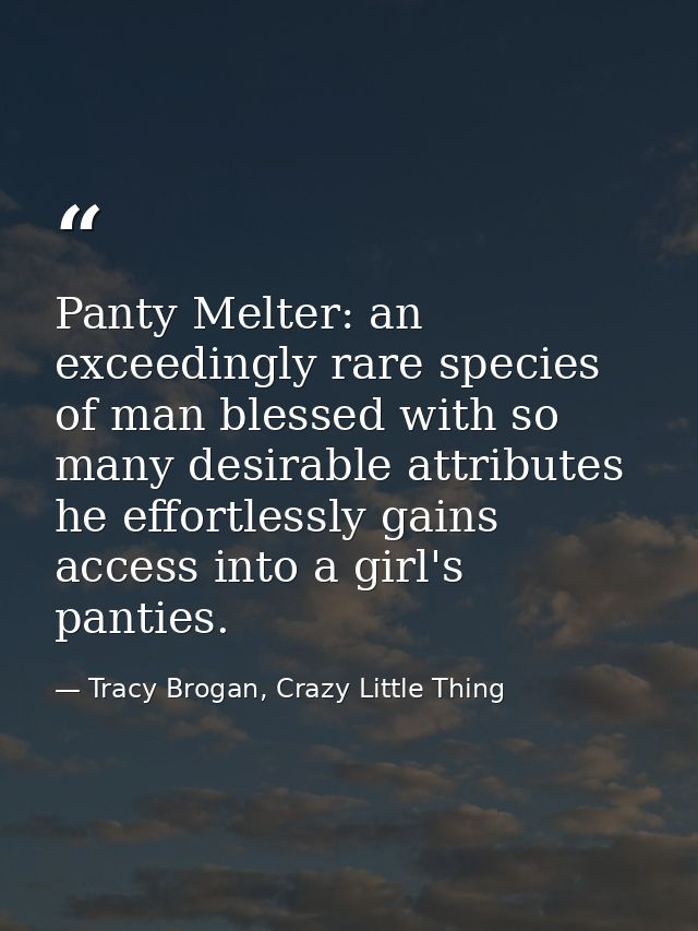 Panty Melter: an exceedingly rare species of man blessed with so many desirable attributes he effortlessly gains access  — Tracy Brogan, Crazy Little Thing
