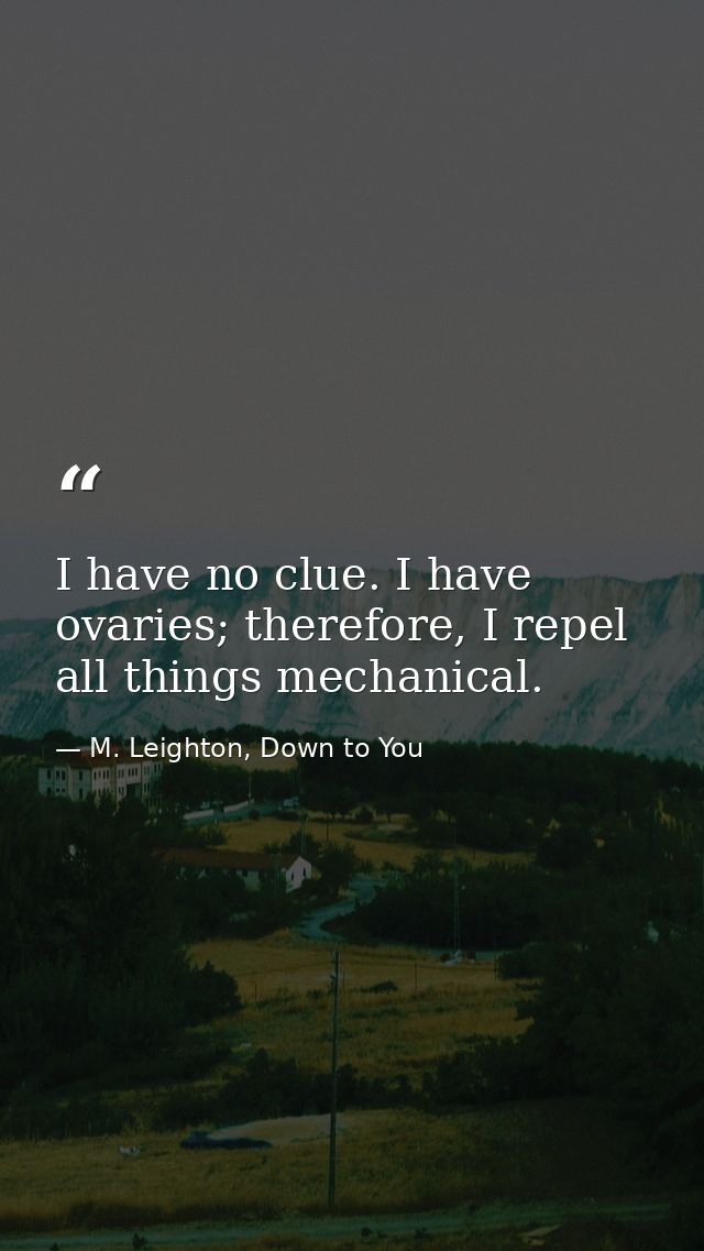 I have no clue. I have ovaries; therefore, I repel all things mechanical. — M. Leighton, Down to You