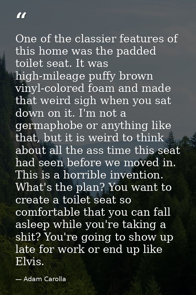One of the classier features of this home was the padded toilet seat. It was high-mileage puffy brown vinyl-colored foam — Adam Carolla