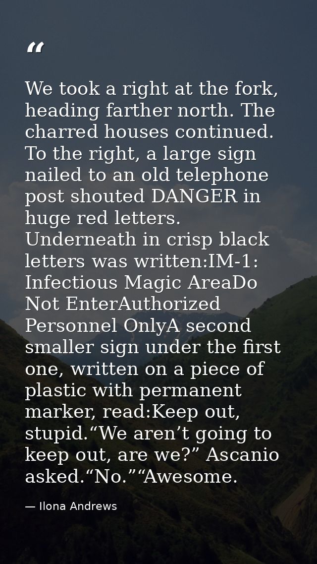 We took a right at the fork, heading farther north. The charred houses continued. To the right, a large sign nailed to a — Ilona Andrews