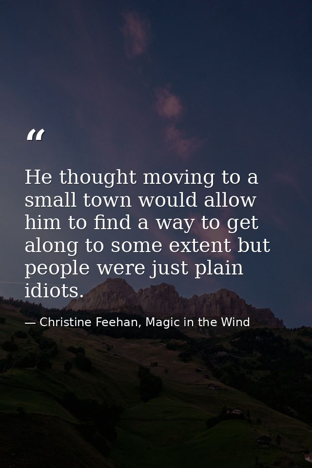 He thought moving to a small town would allow him to find a way to get along to some extent but people were just plain i — Christine Feehan, Magic in the Wind