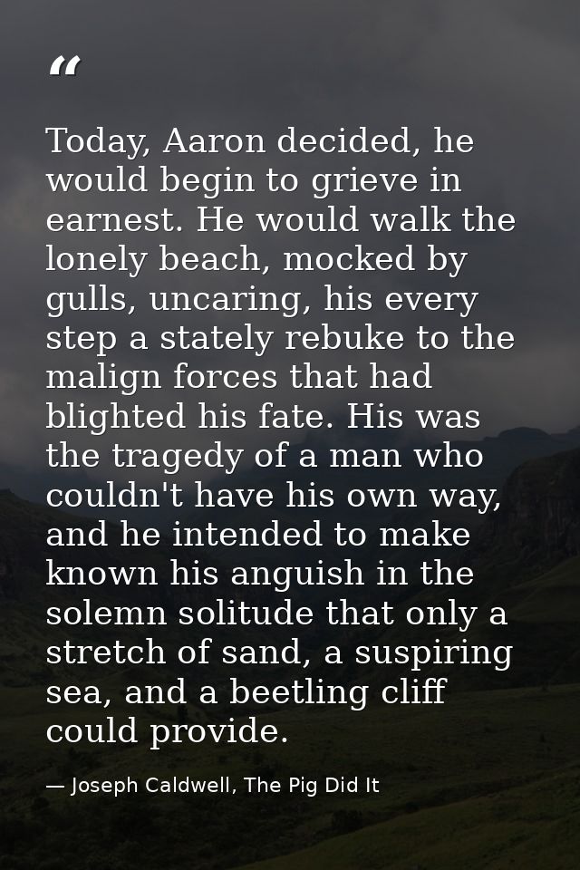 Today, Aaron decided, he would begin to grieve in earnest. He would walk the lonely beach, mocked by gulls, uncaring, hi — Joseph Caldwell, The Pig Did It
