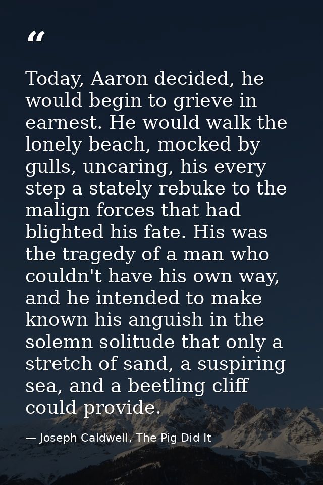 Today, Aaron decided, he would begin to grieve in earnest. He would walk the lonely beach, mocked by gulls, uncaring, hi — Joseph Caldwell, The Pig Did It