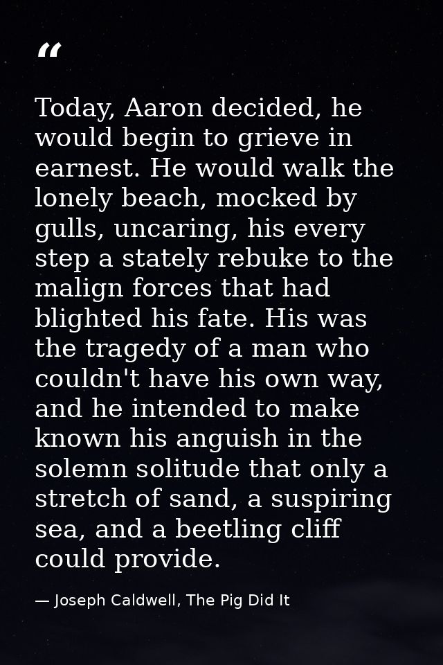 Today, Aaron decided, he would begin to grieve in earnest. He would walk the lonely beach, mocked by gulls, uncaring, hi — Joseph Caldwell, The Pig Did It
