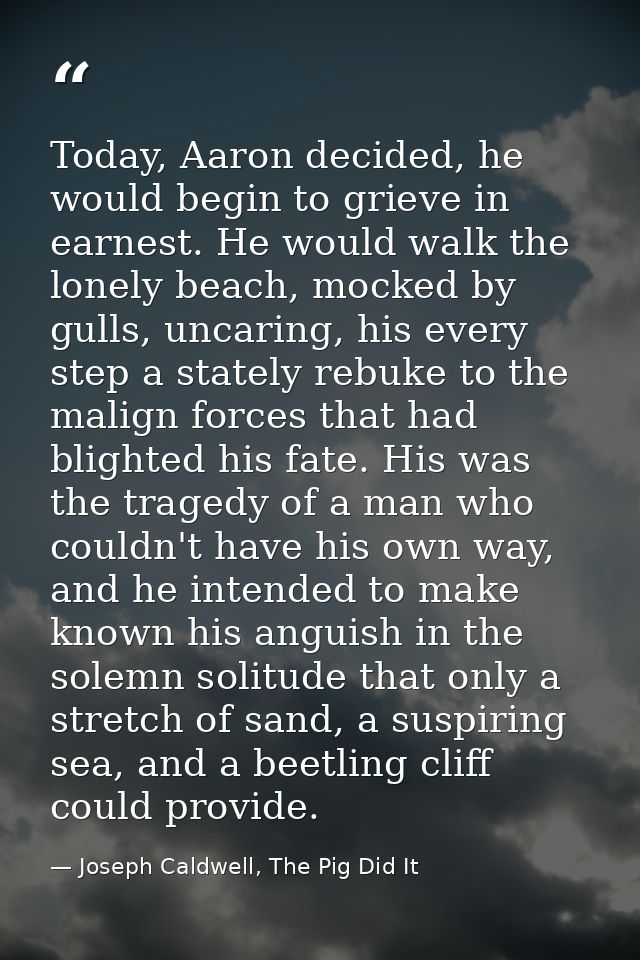 Today, Aaron decided, he would begin to grieve in earnest. He would walk the lonely beach, mocked by gulls, uncaring, hi — Joseph Caldwell, The Pig Did It