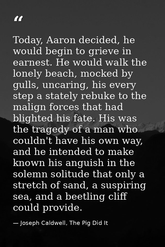Today, Aaron decided, he would begin to grieve in earnest. He would walk the lonely beach, mocked by gulls, uncaring, hi — Joseph Caldwell, The Pig Did It