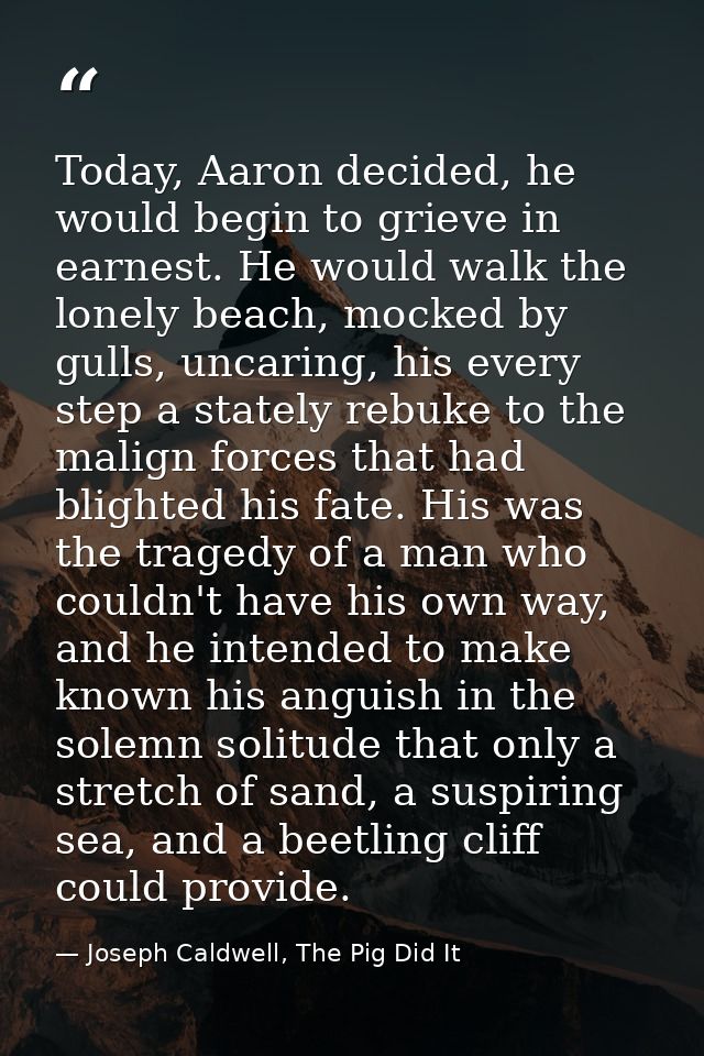 Today, Aaron decided, he would begin to grieve in earnest. He would walk the lonely beach, mocked by gulls, uncaring, hi — Joseph Caldwell, The Pig Did It