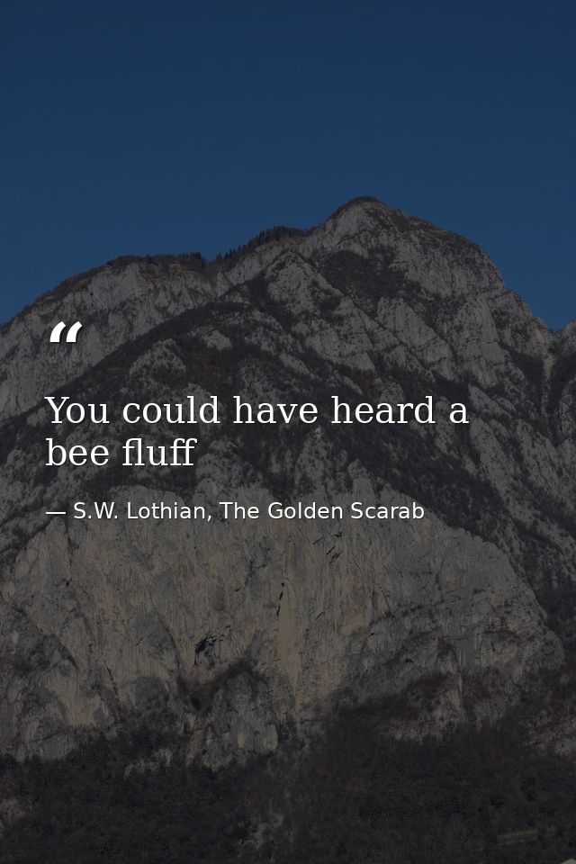 You could have heard a bee fluff — S.W. Lothian, The Golden Scarab