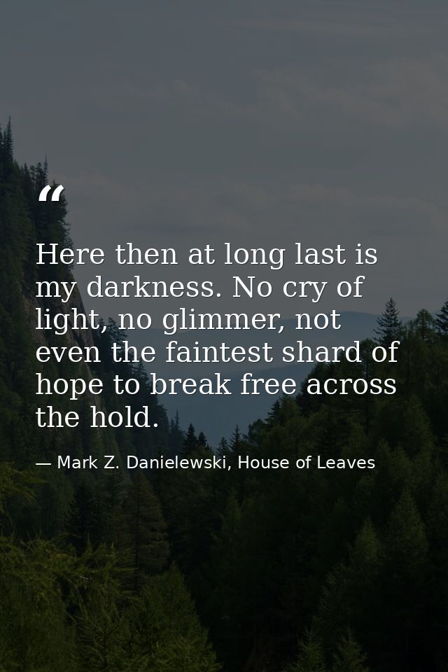 Here then at long last is my darkness. No cry of light, no glimmer, not even the faintest shard of hope to break free ac — Mark Z. Danielewski, House of Leaves