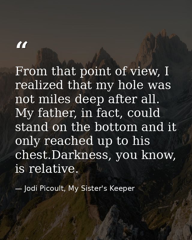From that point of view, I realized that my hole was not miles deep after all. My father, in fact, could stand on the bo — Jodi Picoult, My Sister's Keeper