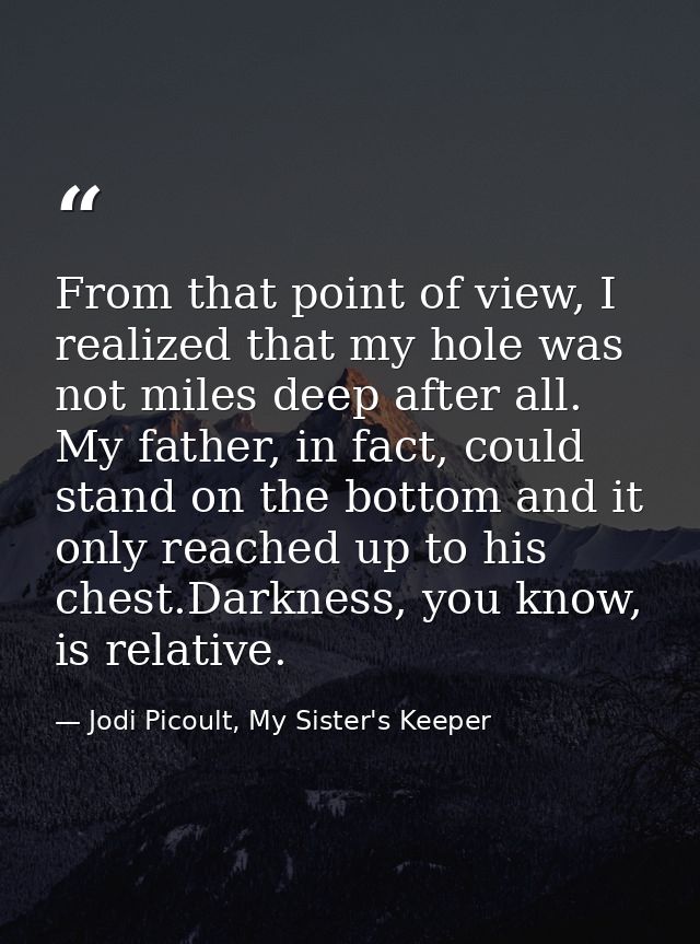 From that point of view, I realized that my hole was not miles deep after all. My father, in fact, could stand on the bo — Jodi Picoult, My Sister's Keeper