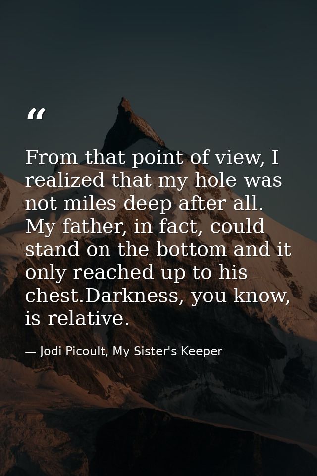From that point of view, I realized that my hole was not miles deep after all. My father, in fact, could stand on the bo — Jodi Picoult, My Sister's Keeper