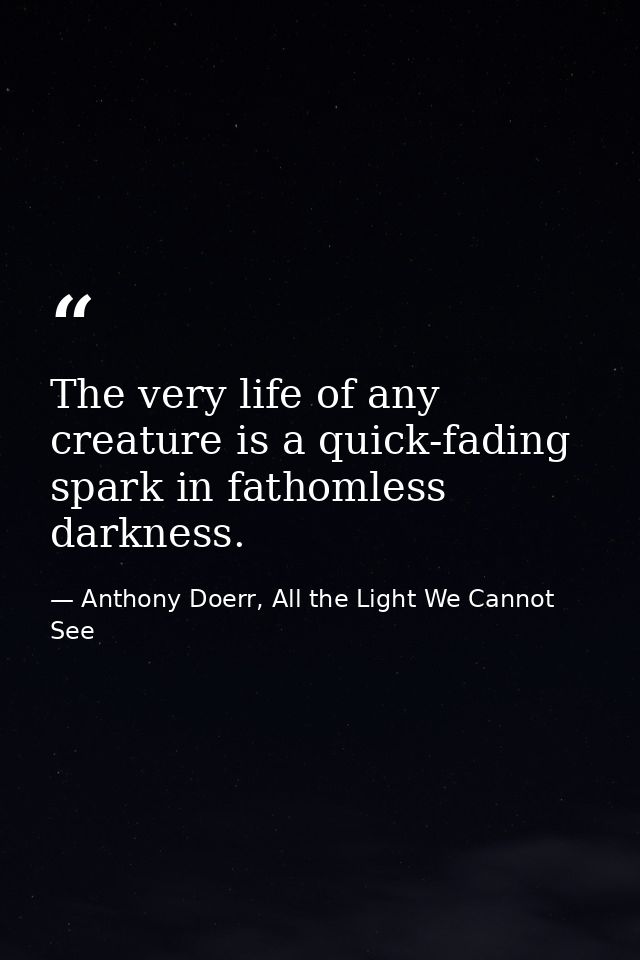 The very life of any creature is a quick-fading spark in fathomless darkness. — Anthony Doerr, All the Light We Cannot See