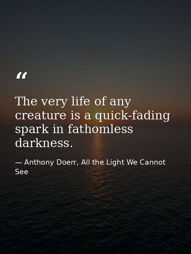 The very life of any creature is a quick-fading spark in fathomless darkness. — Anthony Doerr, All the Light We Cannot See