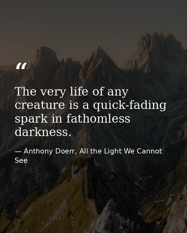 The very life of any creature is a quick-fading spark in fathomless darkness. — Anthony Doerr, All the Light We Cannot See