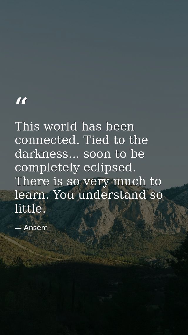 This world has been connected. Tied to the darkness... soon to be completely eclipsed. There is so very much to learn. Y — Ansem