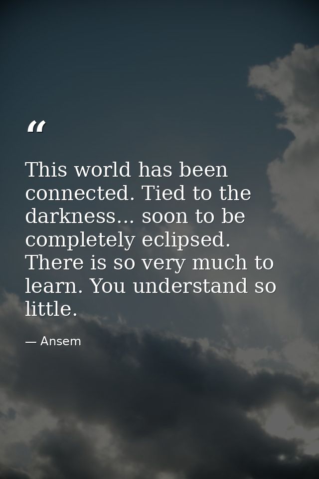 This world has been connected. Tied to the darkness... soon to be completely eclipsed. There is so very much to learn. Y — Ansem