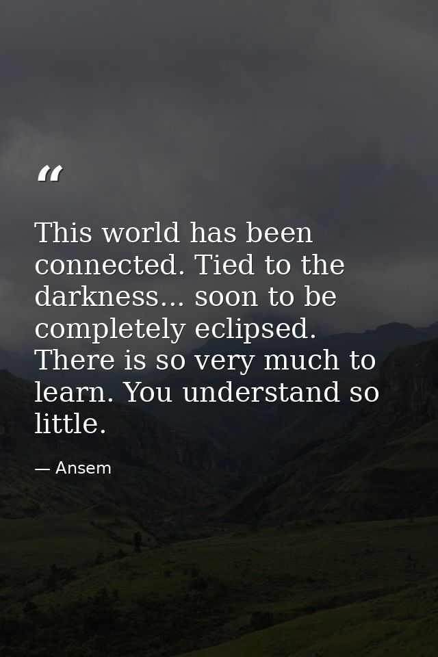 This world has been connected. Tied to the darkness... soon to be completely eclipsed. There is so very much to learn. Y — Ansem