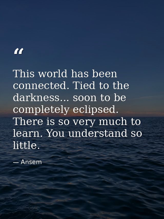 This world has been connected. Tied to the darkness... soon to be completely eclipsed. There is so very much to learn. Y — Ansem