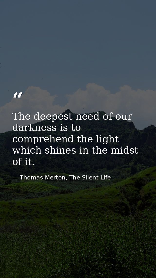 The deepest need of our darkness is to comprehend the light which shines in the midst of it. — Thomas Merton, The Silent Life