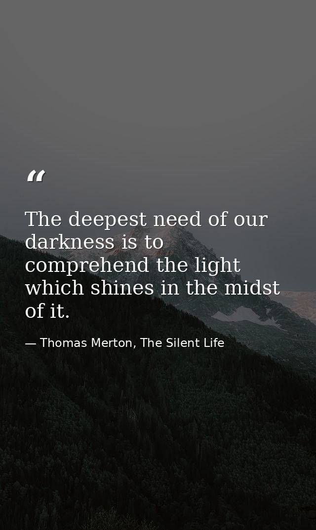 The deepest need of our darkness is to comprehend the light which shines in the midst of it. — Thomas Merton, The Silent Life