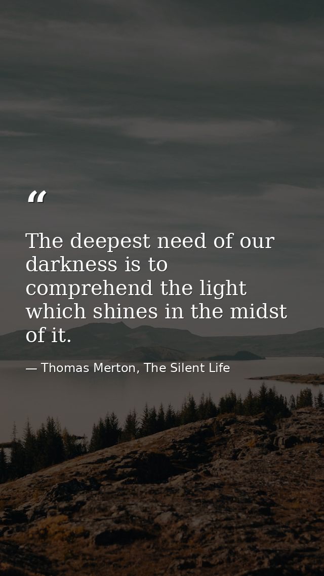 The deepest need of our darkness is to comprehend the light which shines in the midst of it. — Thomas Merton, The Silent Life