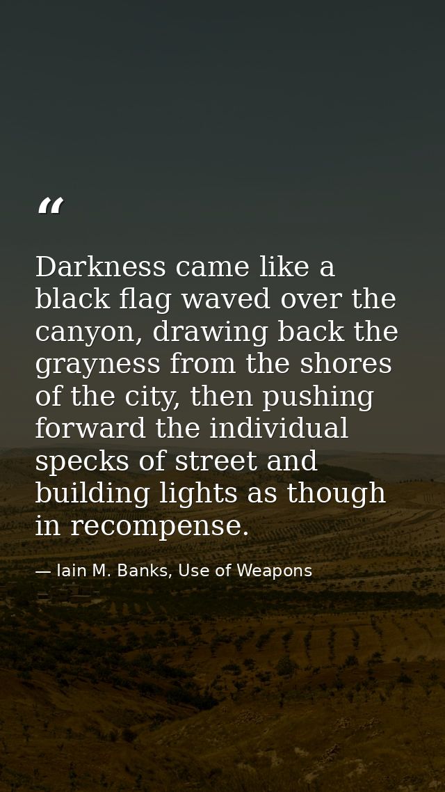 Darkness came like a black flag waved over the canyon, drawing back the grayness from the shores of the city, then pushi — Iain M. Banks, Use of Weapons