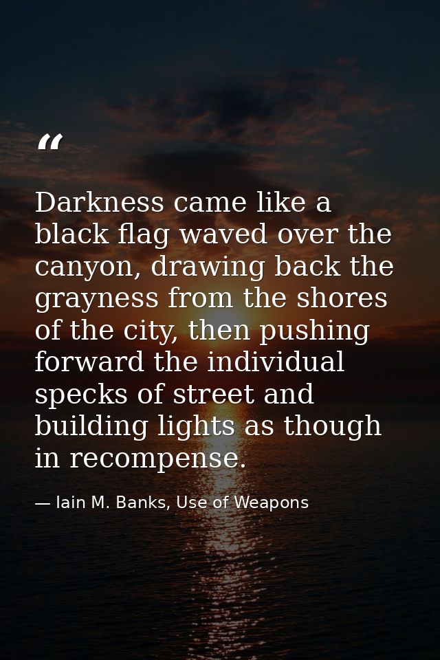 Darkness came like a black flag waved over the canyon, drawing back the grayness from the shores of the city, then pushi — Iain M. Banks, Use of Weapons