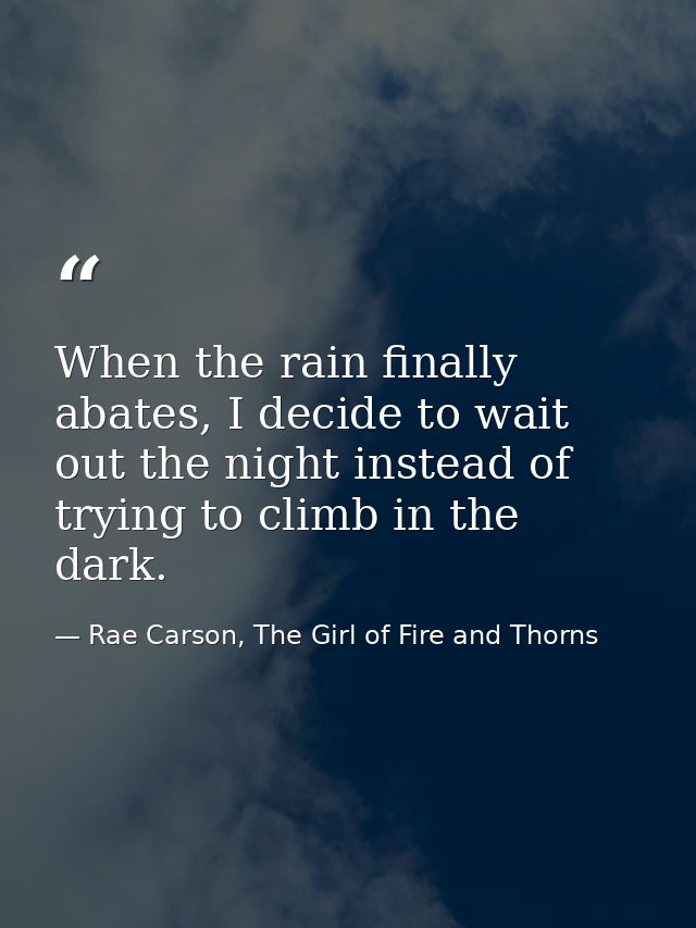 When the rain finally abates, I decide to wait out the night instead of trying to climb in the dark. — Rae Carson, The Girl of Fire and Thorns