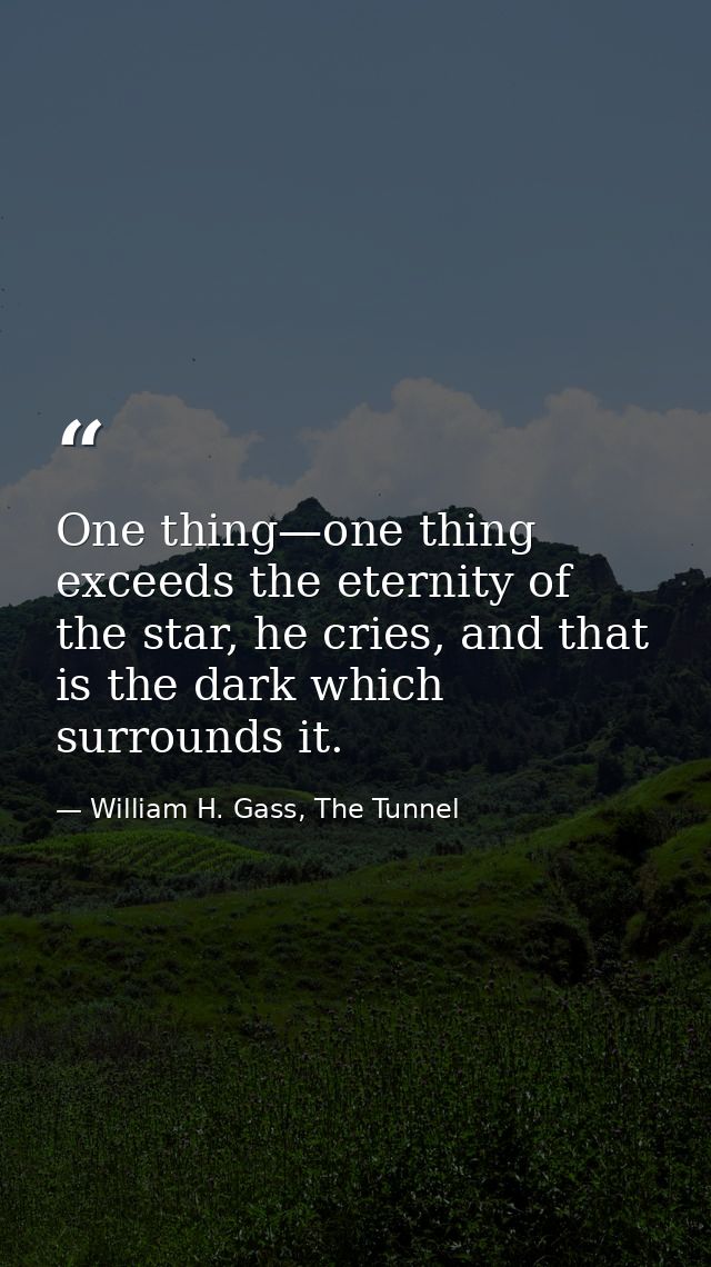 One thing—one thing exceeds the eternity of the star, he cries, and that is the dark which surrounds it. — William H. Gass, The Tunnel