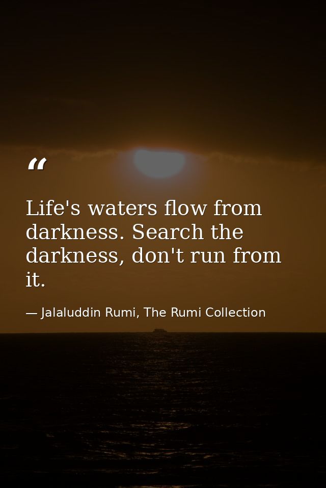 Life's waters flow from darkness. Search the darkness, don't run from it. — Jalaluddin Rumi, The Rumi Collection