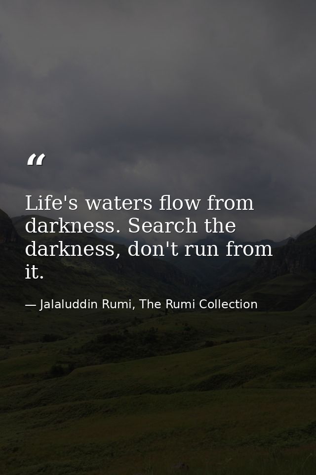 Life's waters flow from darkness. Search the darkness, don't run from it. — Jalaluddin Rumi, The Rumi Collection