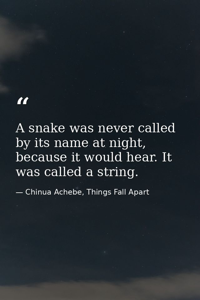 A snake was never called by its name at night, because it would hear. It was called a string. — Chinua Achebe, Things Fall Apart