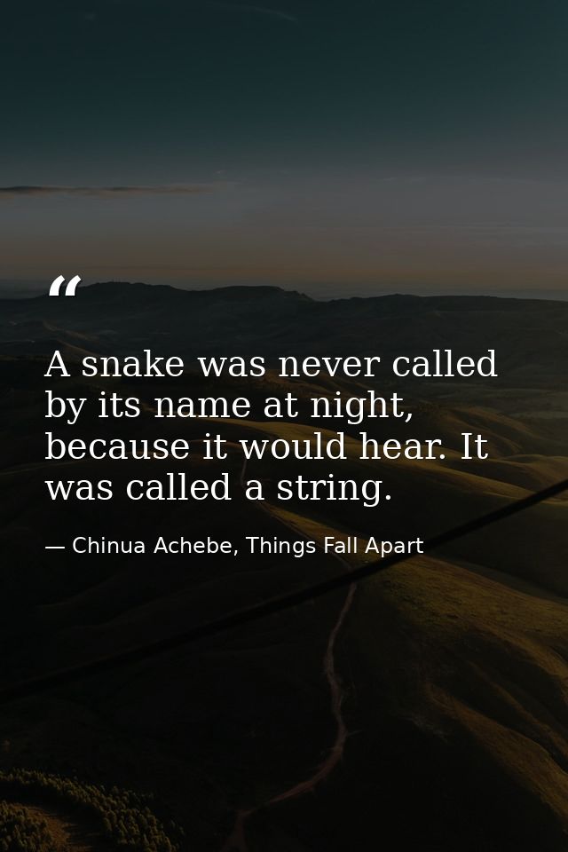 A snake was never called by its name at night, because it would hear. It was called a string. — Chinua Achebe, Things Fall Apart