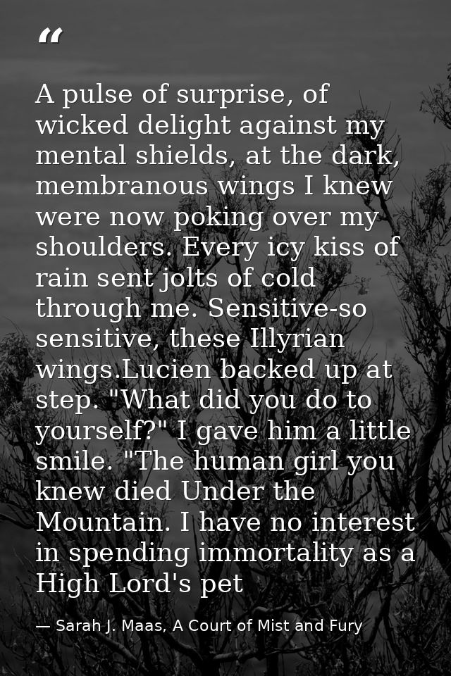 A pulse of surprise, of wicked delight against my mental shields, at the dark, membranous wings I knew were now poking o — Sarah J. Maas, A Court of Mist and Fury