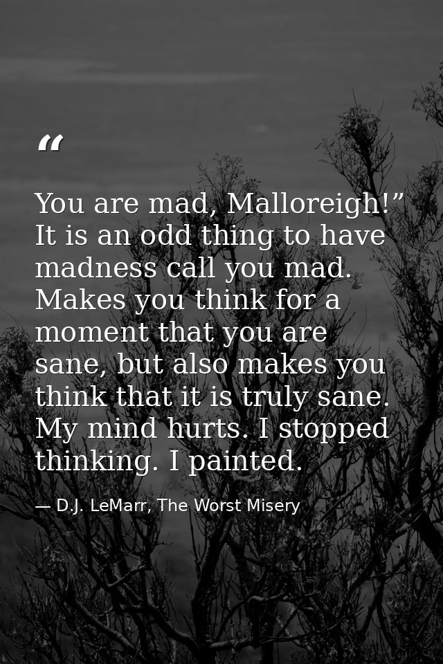 You are mad, Malloreigh!” It is an odd thing to have madness call you mad. Makes you think for a moment that you are san — D.J. LeMarr, The Worst Misery
