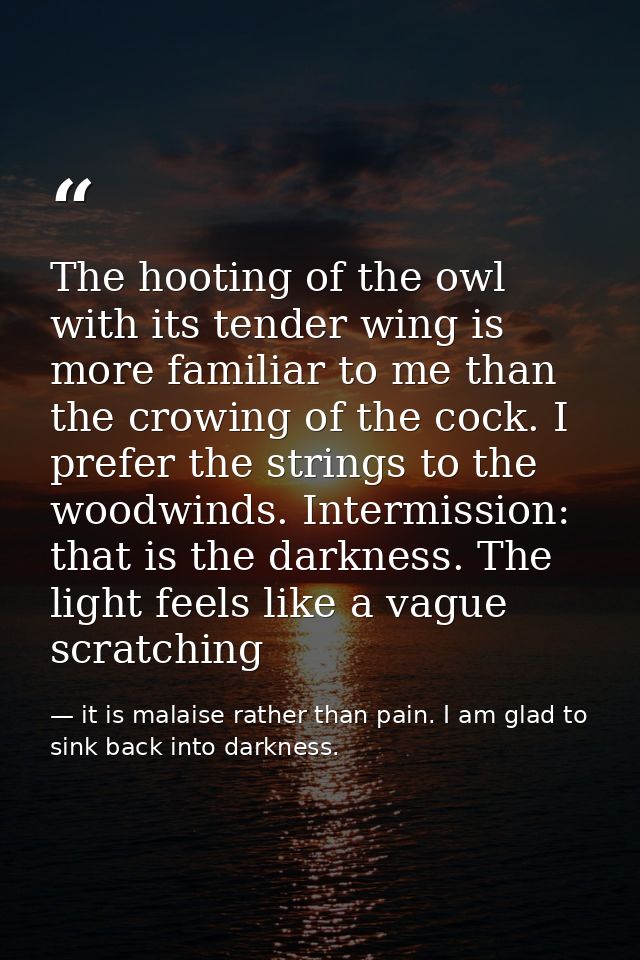 The hooting of the owl with its tender wing is more familiar to me than the crowing of the cock. I prefer the strings to — it is malaise rather than pain. I am glad to sink back into darkness.