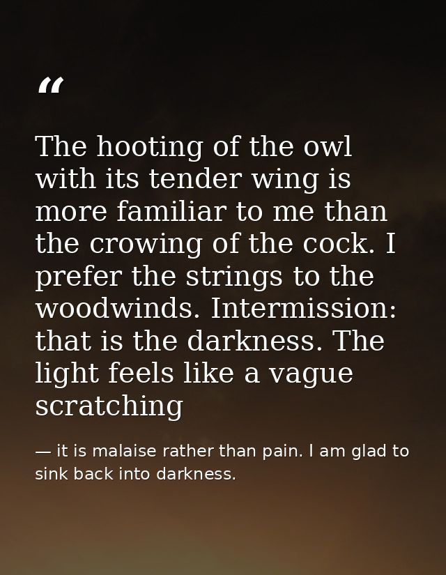 The hooting of the owl with its tender wing is more familiar to me than the crowing of the cock. I prefer the strings to — it is malaise rather than pain. I am glad to sink back into darkness.
